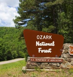 9 Best Place To Camp In Ozark National Forest
