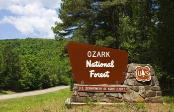 9 Best Place To Camp In Ozark National Forest